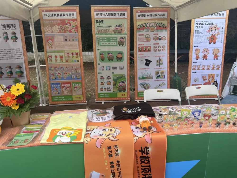 图片13