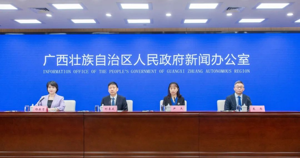 2024中国—东盟图书文化周新闻 发布会现场