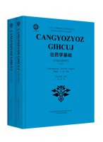 《壮药学基础》（壮文版）